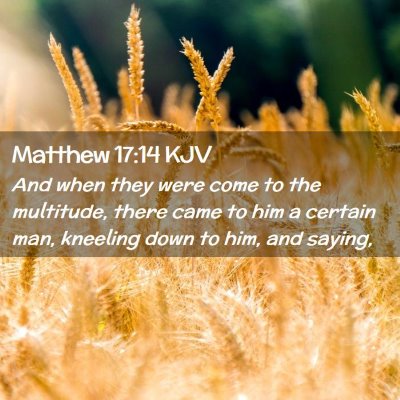 Matthew 17:14 KJV Free Bible Images