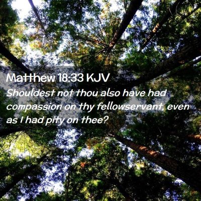 Matthew 18:33 KJV Free Bible Images