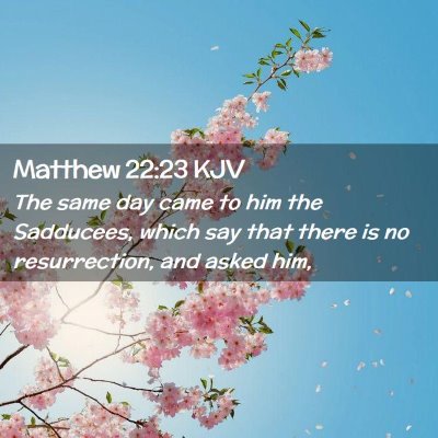 Matthew 22:23 KJV Free Bible Images