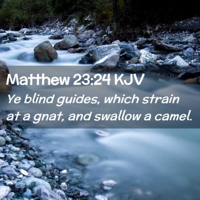 Matthew 23:24 KJV Free Bible Images