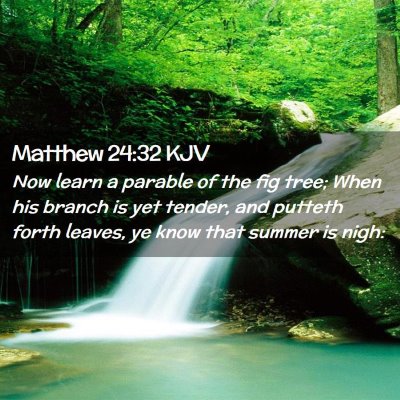 Matthew 24:32 KJV Free Bible Images