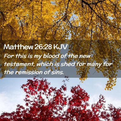 Matthew 26:28 KJV Free Bible Images