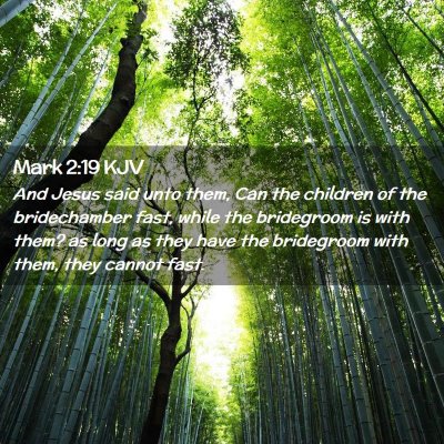 Mark 2:19 KJV Free Bible Images