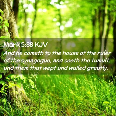 Mark 5:38 KJV Free Bible Images