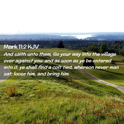 Mark 11:2 KJV Free Bible Images