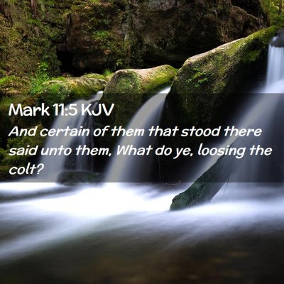 Mark 11:5 KJV Free Bible Images