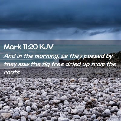 Mark 11:20 KJV Free Bible Images