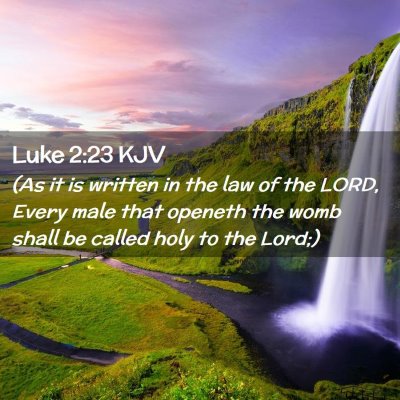 Luke 2:23 KJV Free Bible Images