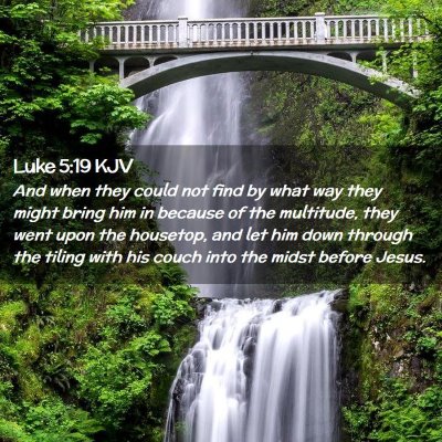 Luke 5:19 KJV Free Bible Images