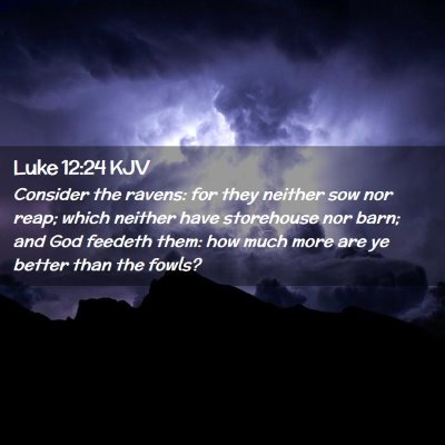 Luke 12:24 KJV Free Bible Images