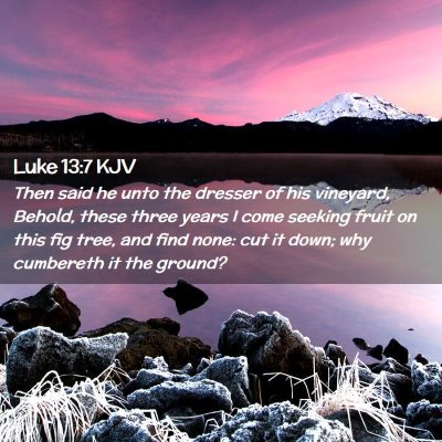 Luke 13:7 KJV Free Bible Images