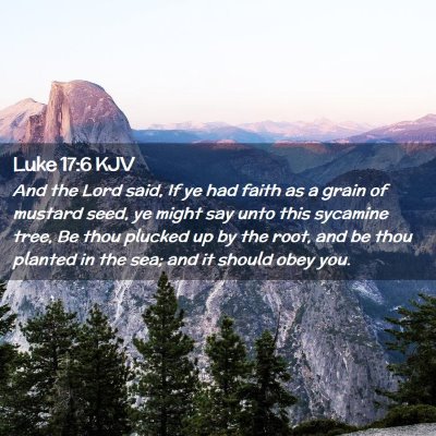 Luke 17:6 KJV Free Bible Images