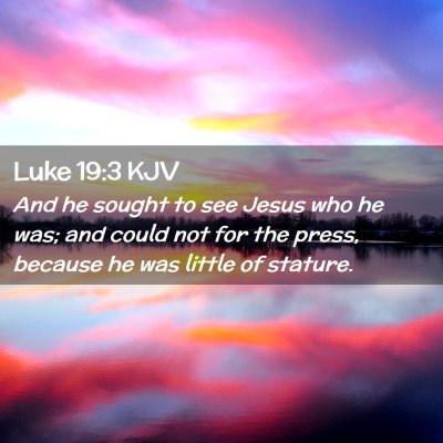 Luke 19:3 KJV Free Bible Images