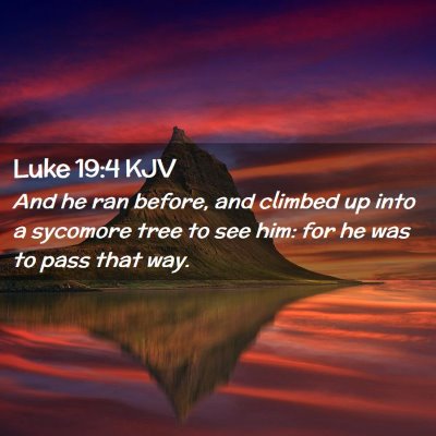 Luke 19:4 KJV Free Bible Images