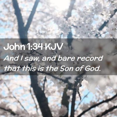 John 1:34 KJV Free Bible Images