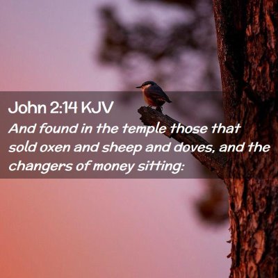 John 2:14 KJV Free Bible Images