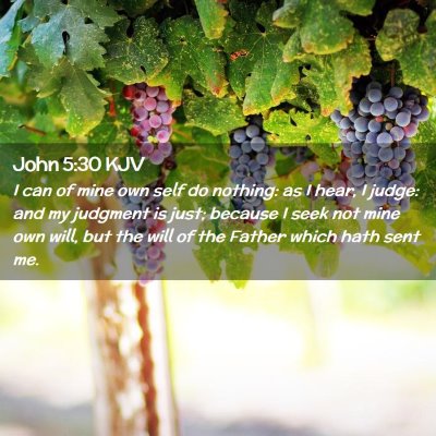 John 5:30 KJV Free Bible Images