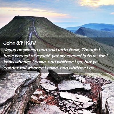 John 8:14 KJV Free Bible Images