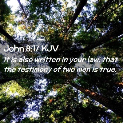 John 8:17 KJV Free Bible Images