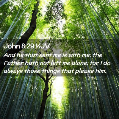 John 8:29 KJV Free Bible Images