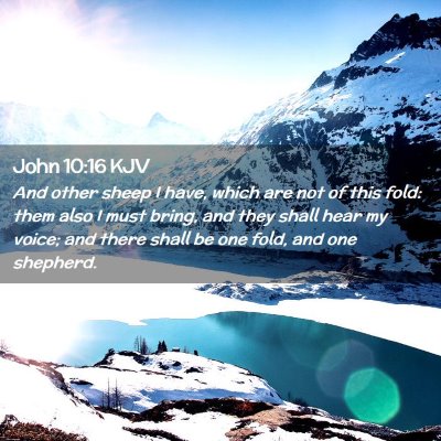 John 10:16 KJV Free Bible Images