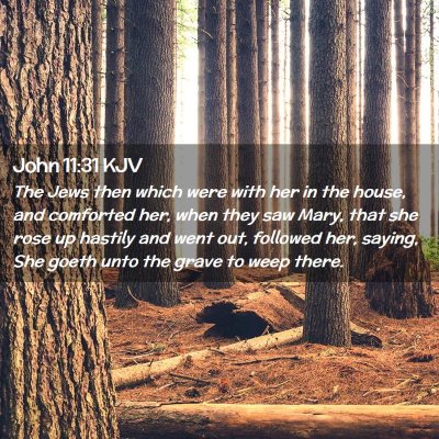 John 11:31 KJV Free Bible Images