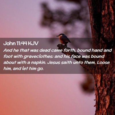 John 11:44 KJV Free Bible Images