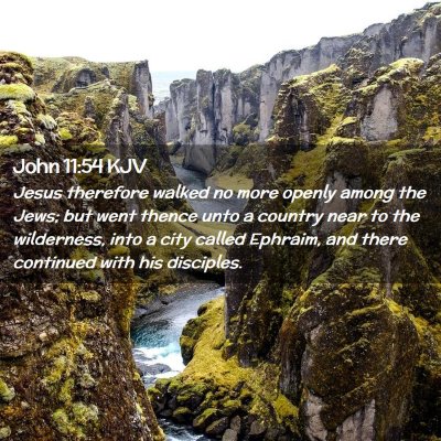 John 11:54 KJV Free Bible Images