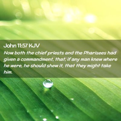 John 11:57 KJV Free Bible Images