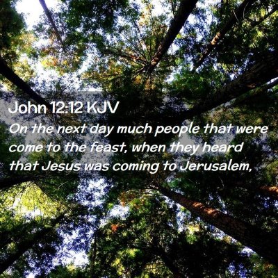 John 12:12 KJV Free Bible Images