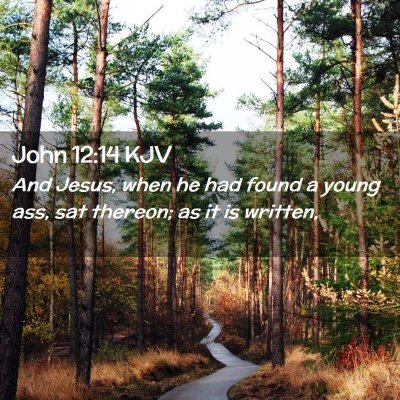 John 12:14 KJV Free Bible Images