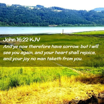 John 16:22 KJV Free Bible Images