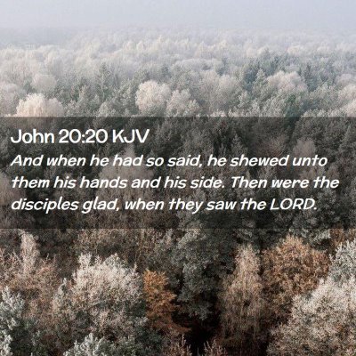 John 20:20 KJV Free Bible Images