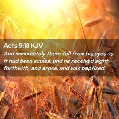 Acts 9:18 KJV Free Bible Images