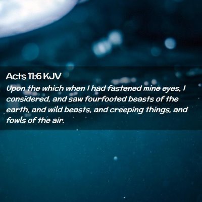 Acts 11:6 KJV Free Bible Images