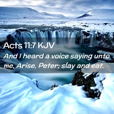 Acts 11:7 KJV Free Bible Images