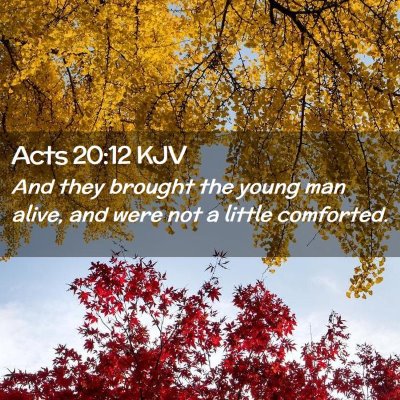 Acts 20:12 KJV Free Bible Images