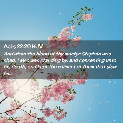 Acts 22:20 KJV Free Bible Images