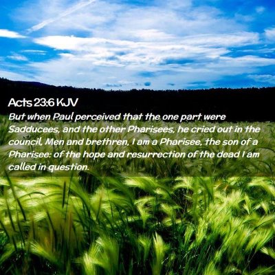 Acts 23:6 KJV Free Bible Images