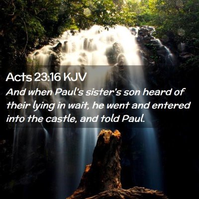 Acts 23:16 KJV Free Bible Images