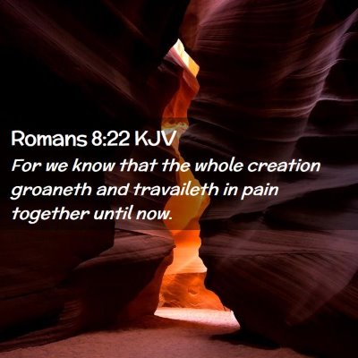 Romans 8:22 KJV Free Bible Images