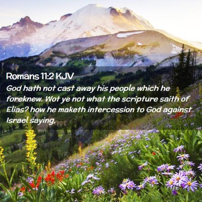 Romans 11:2 KJV Free Bible Images