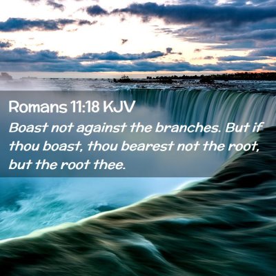 Romans 11:18 KJV Free Bible Images