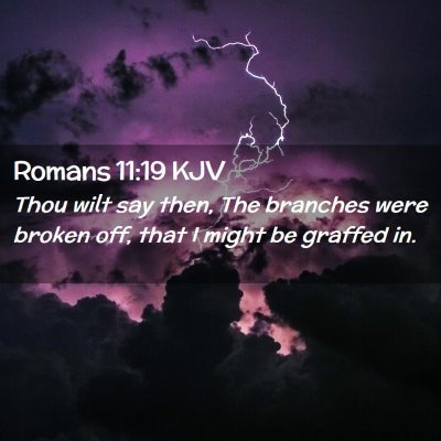 Romans 11:19 KJV Free Bible Images