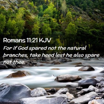 Romans 11:21 KJV Free Bible Images