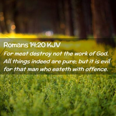 Romans 14:20 KJV Free Bible Images