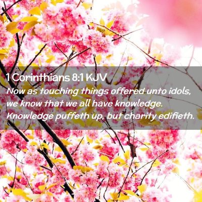 1 Corinthians 8:1 KJV Free Bible Images