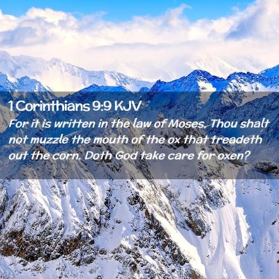 1 Corinthians 9:9 KJV Free Bible Images