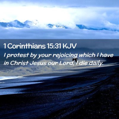 1 Corinthians 15:31 KJV Free Bible Images