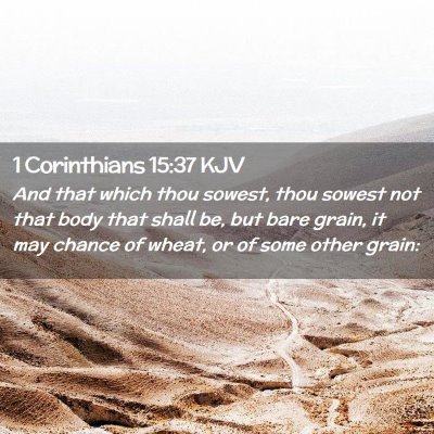 1 Corinthians 15:37 KJV Free Bible Images